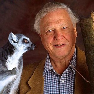 David Attenborough's The Life of Mammals: Season 1, Episode 1 - Rotten ...