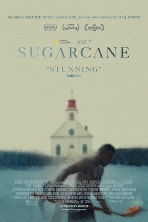 Sugarcane poster