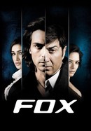 Fox poster image