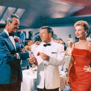 THE BIRDS AND THE BEES, David Niven, George Gobel, Mitzi Gaynor, 1956