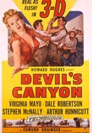 Devil's Canyon poster image