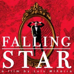 Falling Star photo 1
