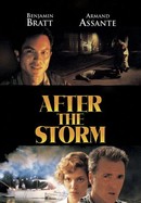 After the Storm poster image