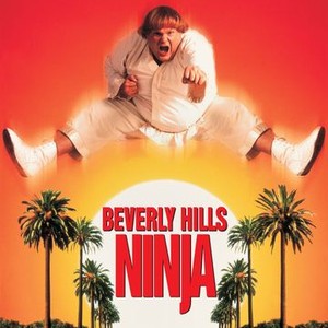 Beverly Hills Ninja (1997) photo 13