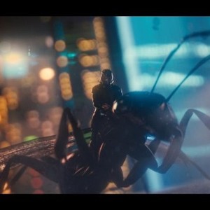 Ant-Man photo 5