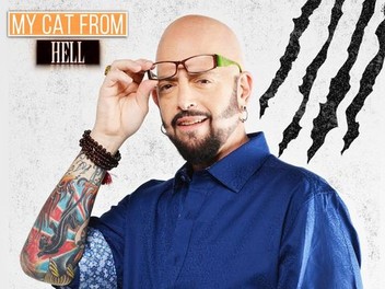 My cat from hell season 9 shop episode 1
