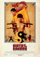 Birth of the Dragon poster image