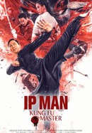 Ip Man: Kung Fu Master poster image