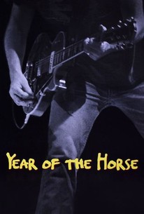 Watch trailer for Year of the Horse