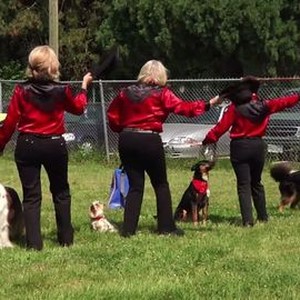 Unleashed! A Dog Dancing Story (2014)