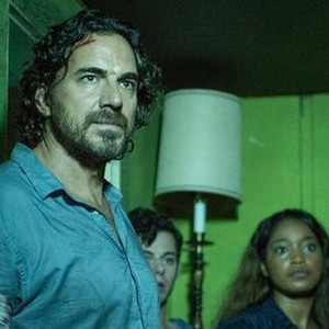 Animal - Rotten Tomatoes