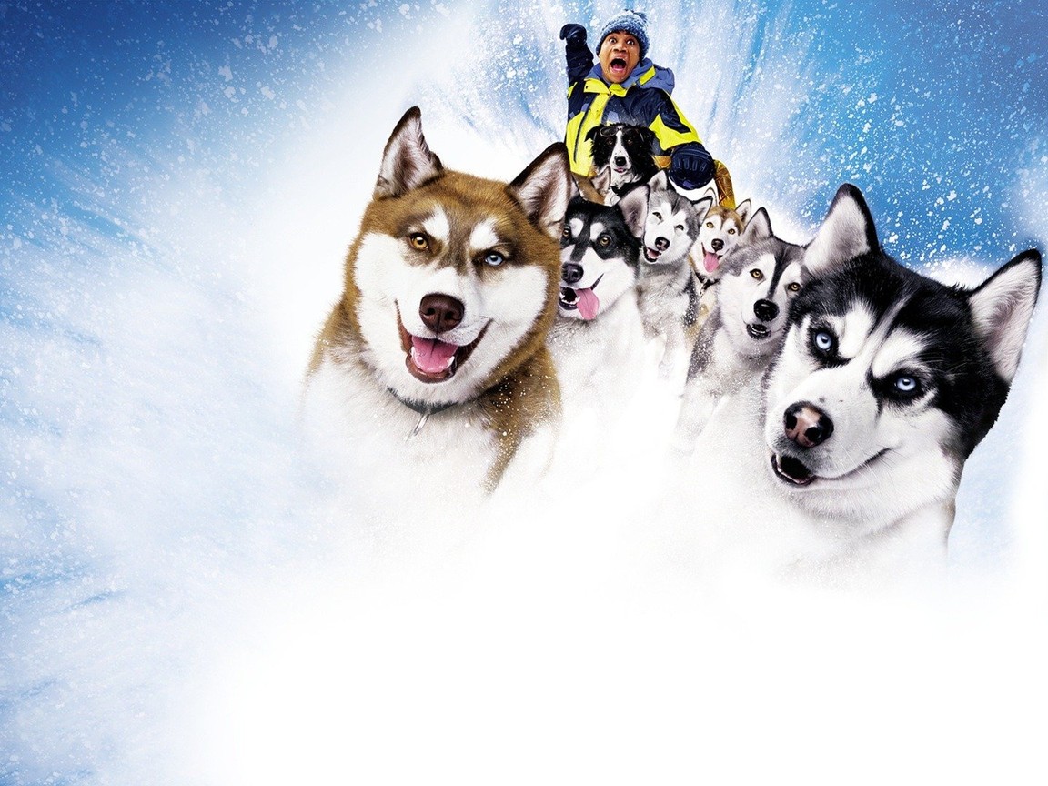 what dogs are in snow dogs