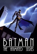 Batman: The Animated Series poster image