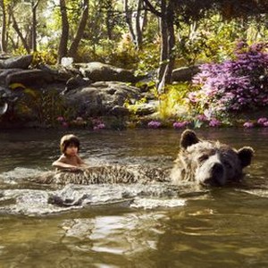 THE JUNGLE BOOK, from left: Neel Sethi, Baloo (voice: Bill Murray), 2016. © Walt Disney Studios Motion Pictures