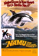 Namu, the Killer Whale poster image