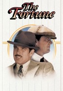 The Fortune poster image