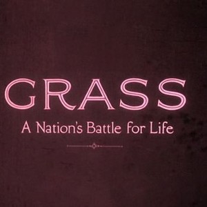 Grass: A Nation's Battle for Life photo 5