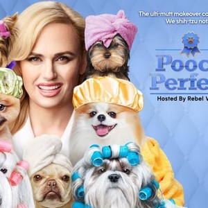 Pooch Perfect - Rotten Tomatoes