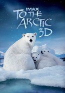 To the Arctic poster image