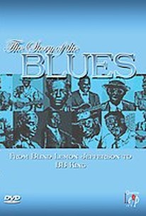 Story of The Blues - From Blind Lemon to B.B. King
