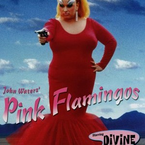 "Pink Flamingos photo 8"