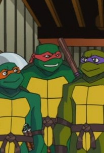 Teenage Mutant Ninja Turtles review – pointless return of crime