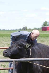 The Incredible Dr. Pol: Season 2, Episode 8 | Rotten Tomatoes