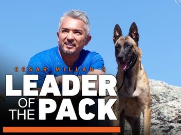 Cesar millan's leader of the pack store