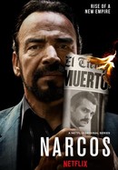 Narcos poster image