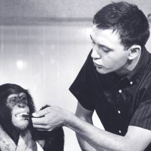 The Monkey's Uncle (1965) photo 4