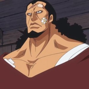 One Piece Season 17 Episode 114 Rotten Tomatoes