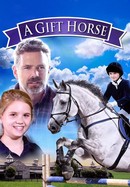 A Gift Horse poster image