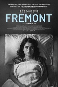 Fremont poster image