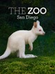 The Zoo: San Diego