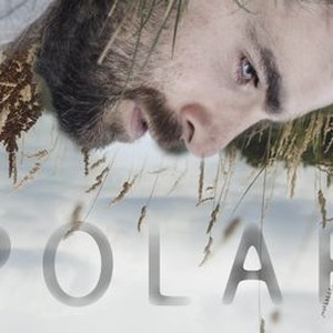 Polar - Rotten Tomatoes