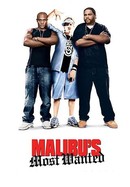 Malibu's Most Wanted poster image