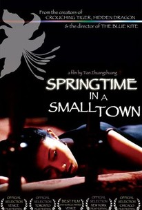 Springtime in a Small Town poster