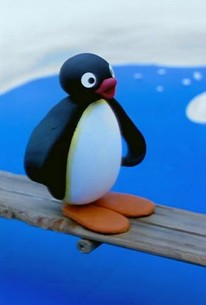 Pingu Season 3 Episode 14 Rotten Tomatoes