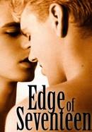 Edge of Seventeen poster image