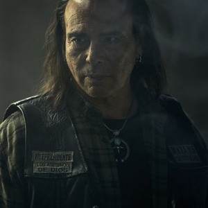 Raoul Max Trujillo as Che "Taza" Romero