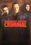 Ordinary Decent Criminal poster image