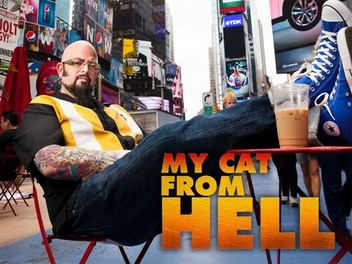 My cat from hot sale hell pee battle