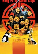 Kung Fu of Seven Steps poster image