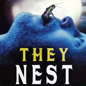 They Nest photo 5