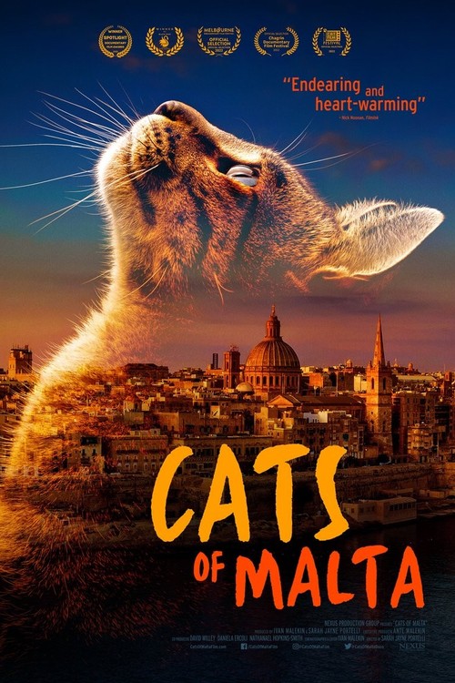 Cats of Malta poster