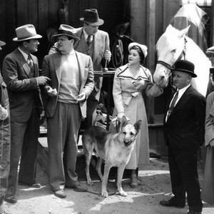 DESERT JUSTICE, Jack Perrin, Warren Hymer, Roger Williams, Braveheart the Dog, Maryan Downing, Starlight the Horse, 1936