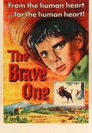 The Brave One poster image