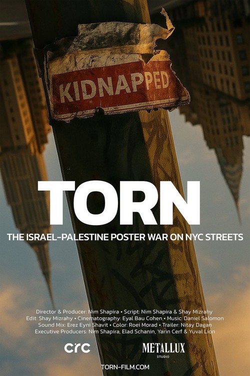 TORN: The Israel-Palestine Poster War on NYC Streets poster