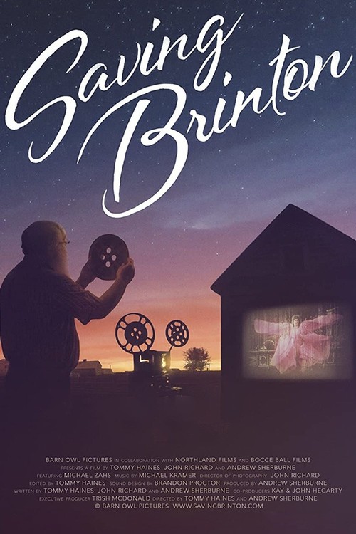 Saving Brinton poster