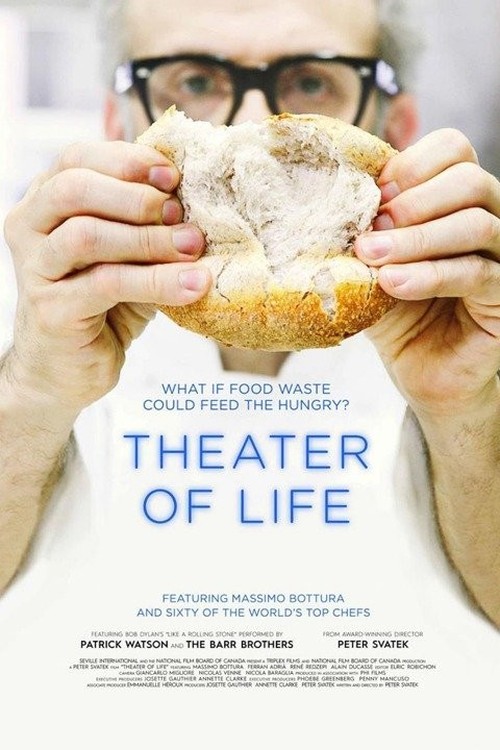 Theater of Life poster